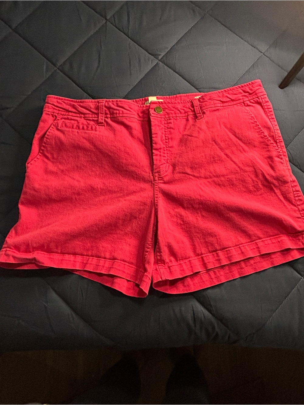 Market & Spruce Bright Pink Cotton Shorts Size 16